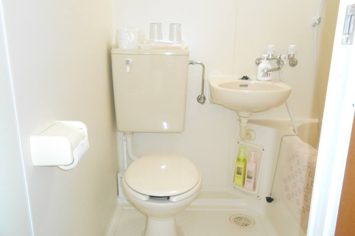 combined shower/bathtub, free toiletries, hair dryer, slippers