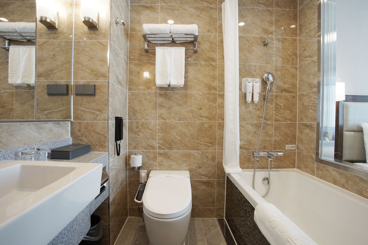 combined shower/bathtub, hair dryer, bathrobes, slippers