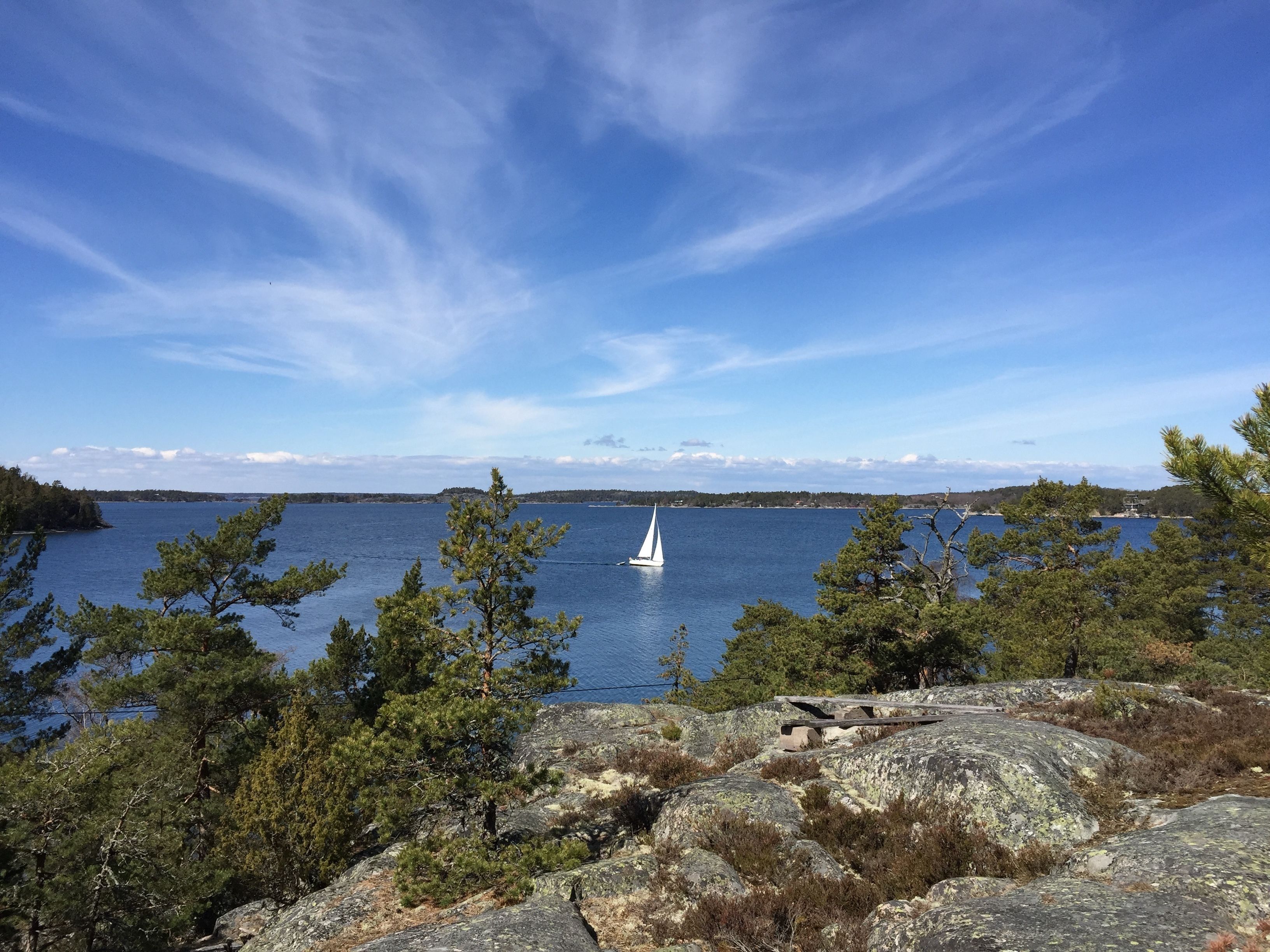 En tydlig vy över en sjö med en segelbåt, omgiven av ett bergigt landskap och tallar.
