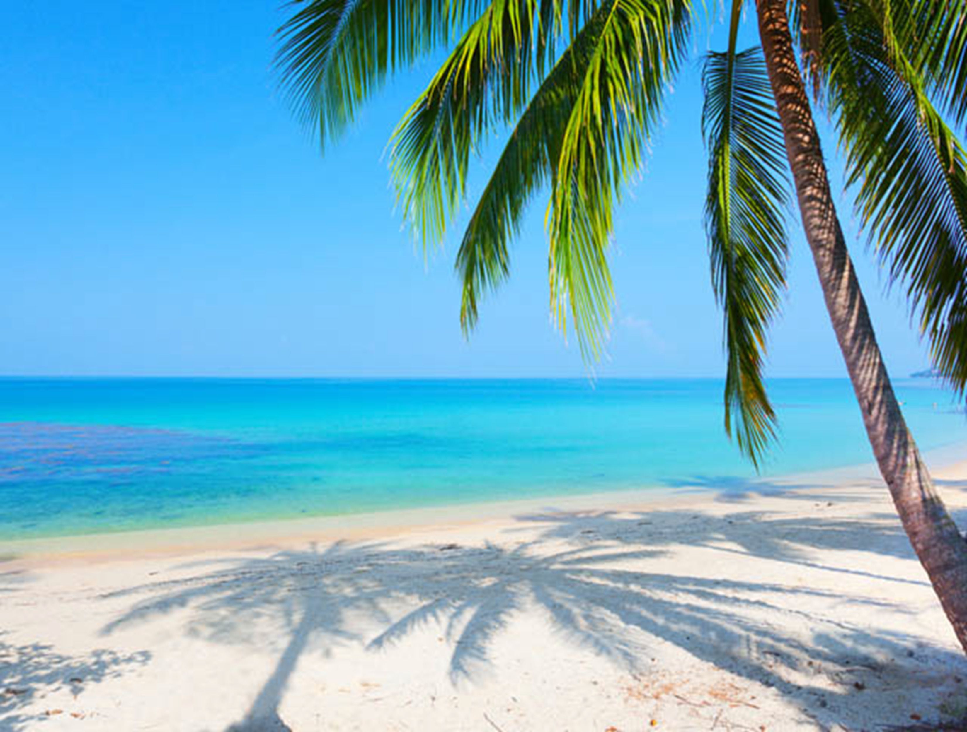 Uitzicht vanuit accommodatie