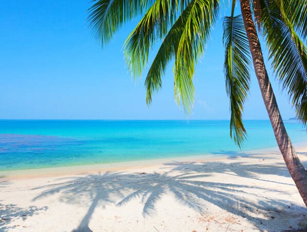 วิวจากที่พัก