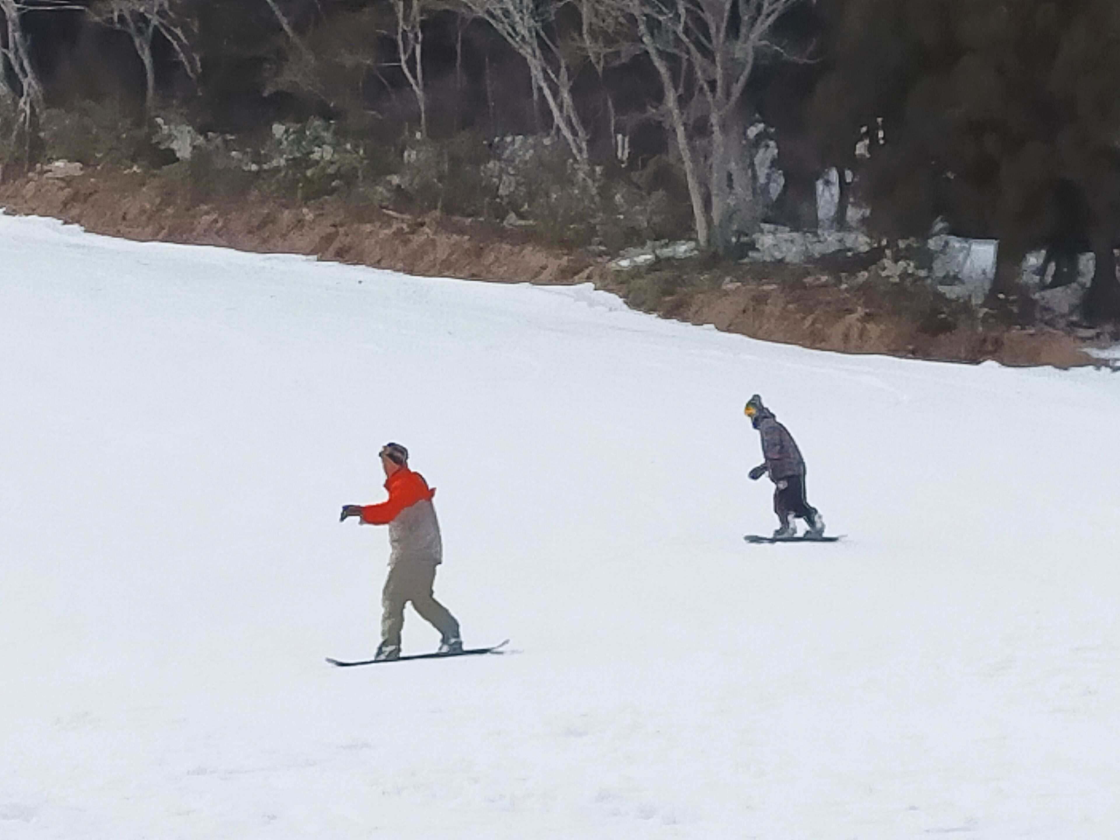 Deux personnes font de la planche à neige sur une pente enneigée, avec des arbres en arrière-plan.