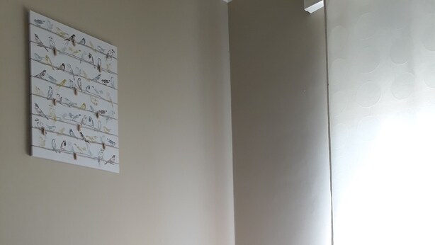 A neatly made bed with white linens, a brown quilted bedspread, and a checkered pillow. A small green plant is on a nightstand beside the bed. - 48 airport budget rooms (Pisa)
