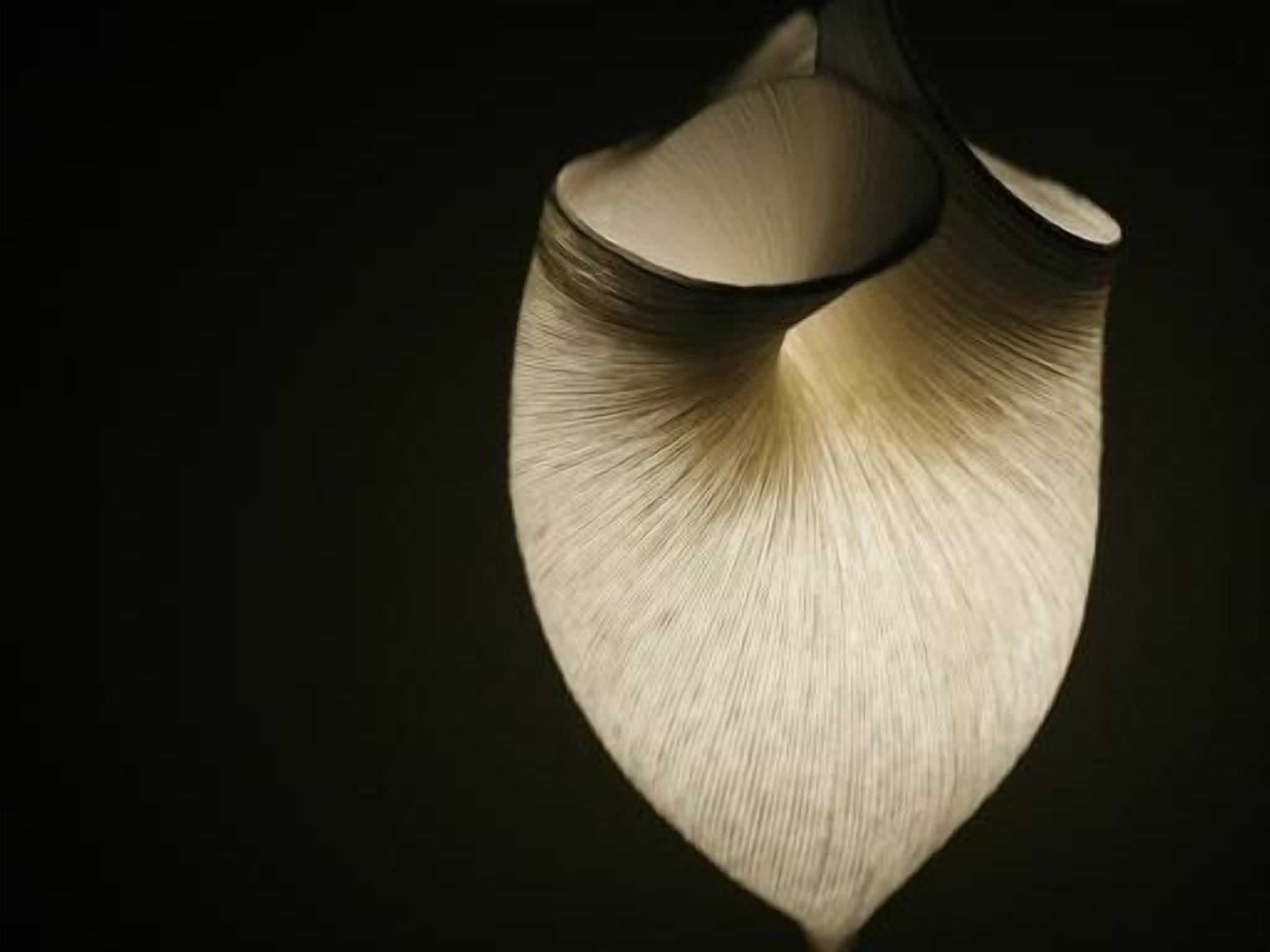 Foto - Les 4 étoiles