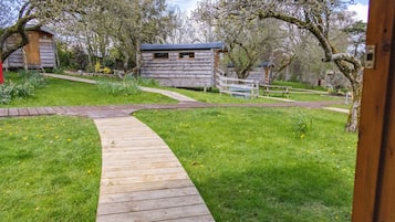 12 - Ecklinville Seedling Camping Pod | Garden view