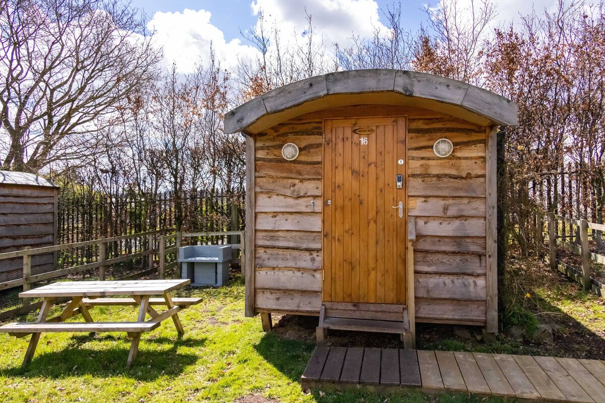 A wooden cabin with a door and windows, a picnic table, and a wooden deck.