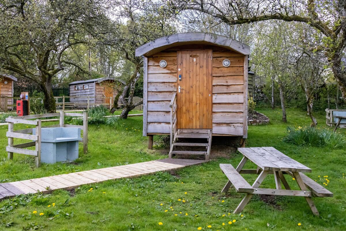 A rustic wooden cabin with a wooden door and steps leading up to it, surrounded by lush greenery and a picnic table nearby.