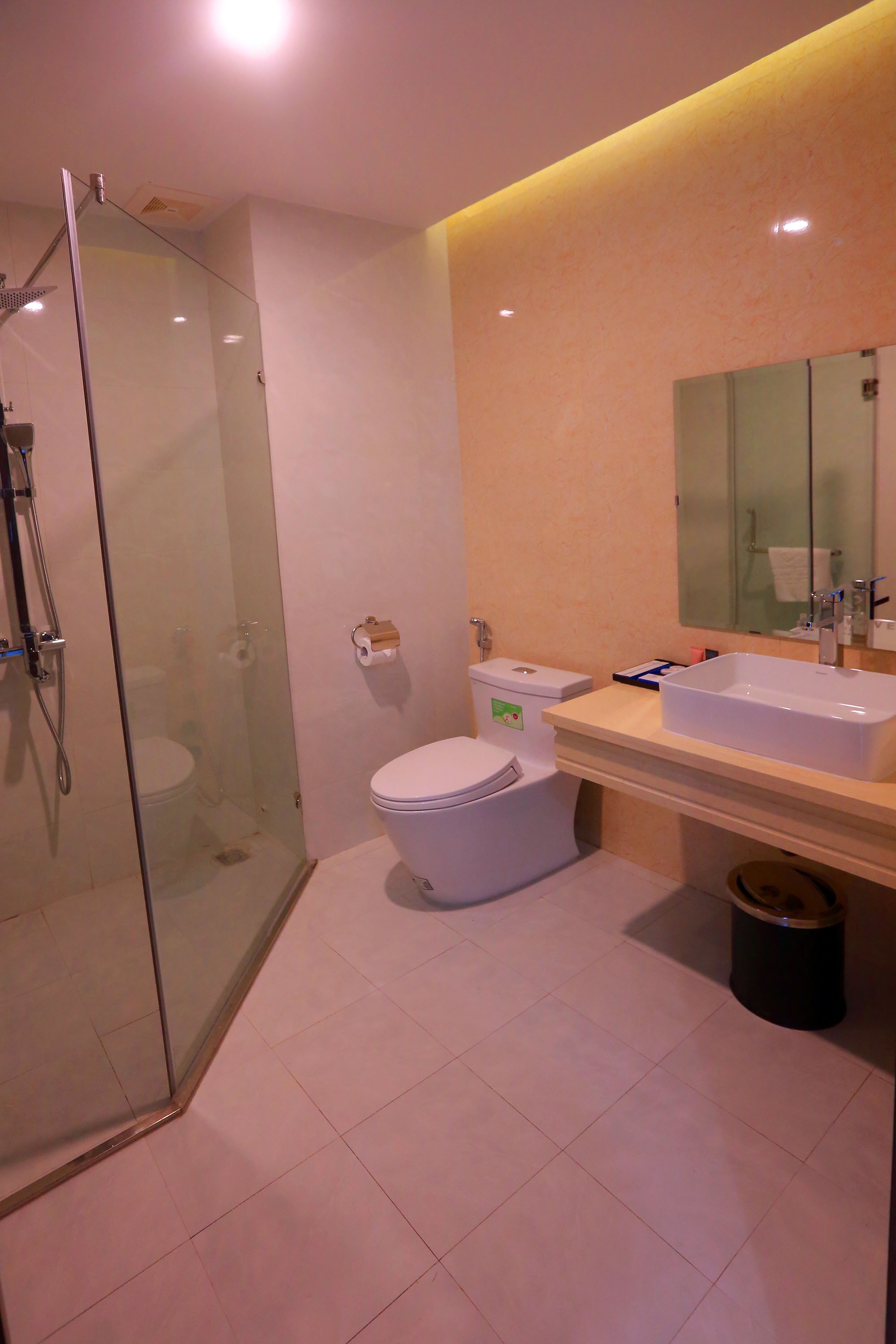A modern bathroom with a glass-enclosed shower, a toilet, and a sink with a mirror above it.