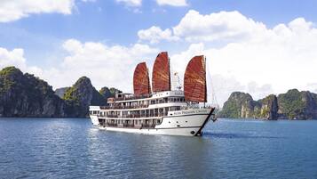 A large cruise ship with multiple decks and a white hull, sailing in a body of water with mountainous terrain in the background.