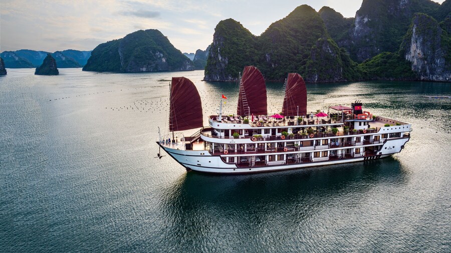 Alisa Premier Cruise