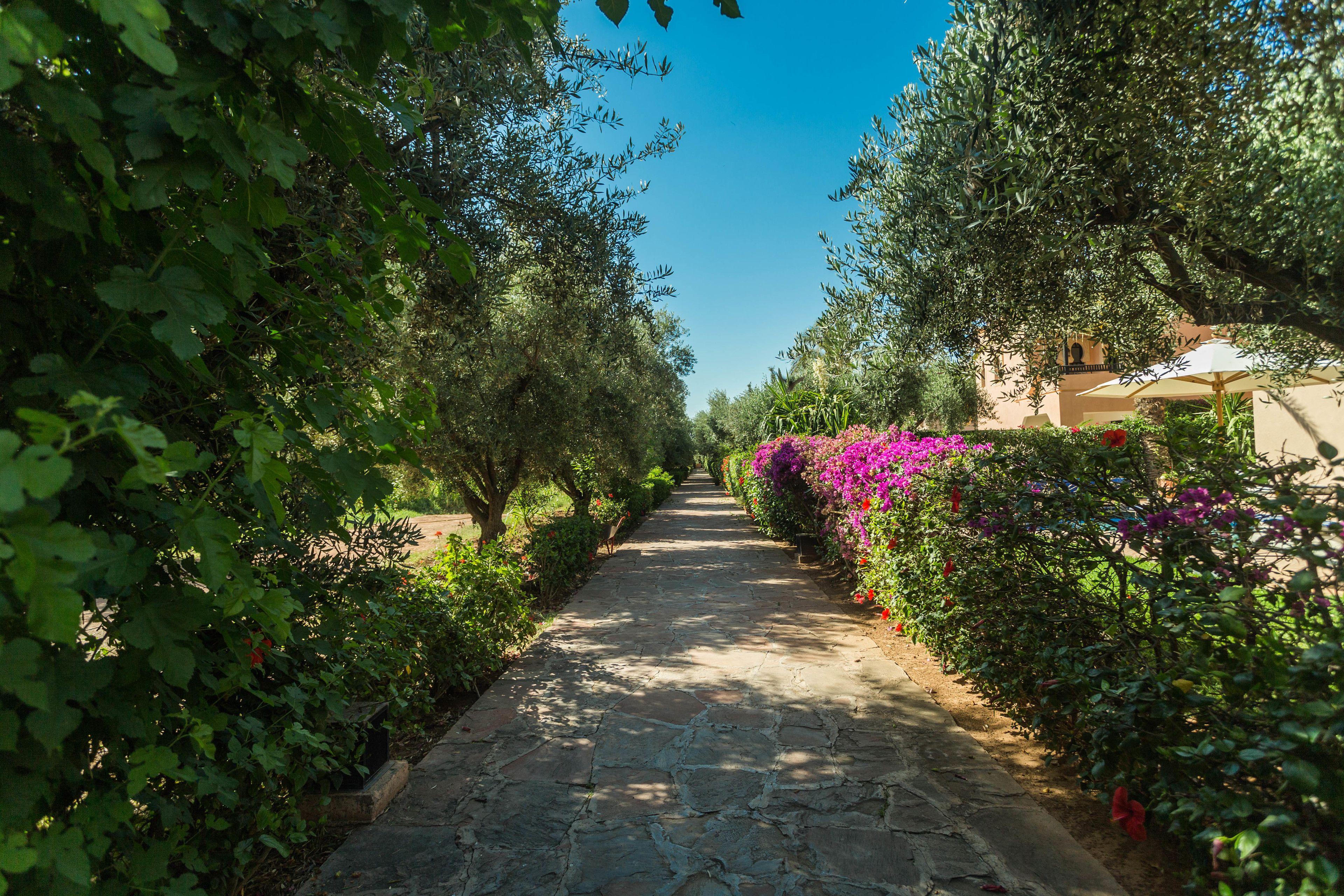 Jardines del alojamiento