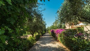 Property grounds - Villa Abalya 22 (Marrakech)