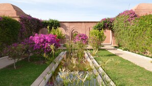حديقة
