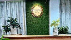 Zona de recepción con pared verde, mostrador de madera y plantas en macetas.