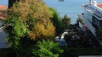 Une vue sur la côte, avec un ciel dégagé, un grand arbre et un bâtiment doté d’un balcon donnant sur la mer.