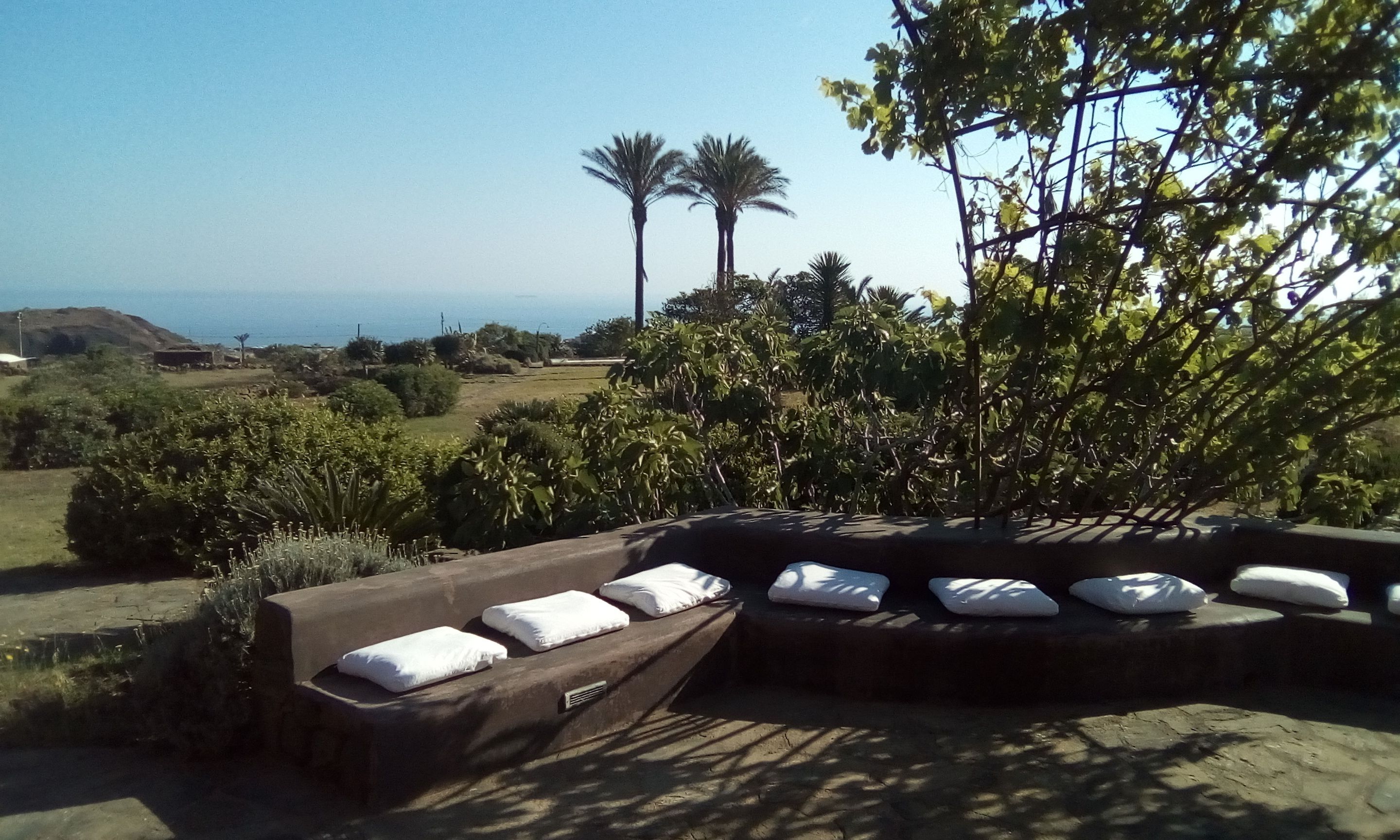 Un espace extérieur aménagé avec des coussins, baigné de lumière, entouré d’une végétation luxuriante et de palmiers, et offrant une vue sur un paysage côtier.