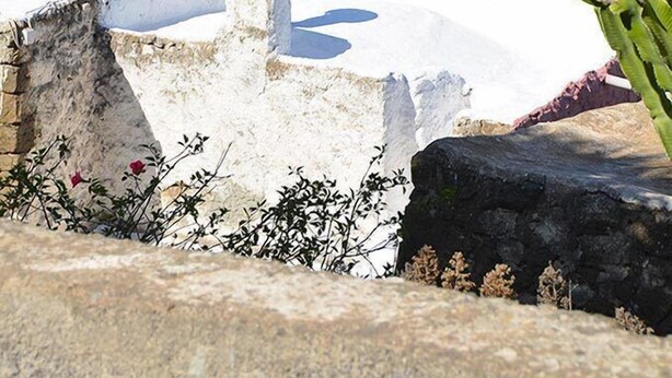 A coastal view with a white building, a cactus, and a clear blue sea. - Zubebi Resort (Pantelleria)