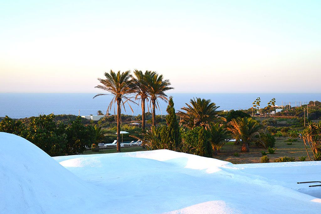 A view of a beach with palm trees and a clear sky.