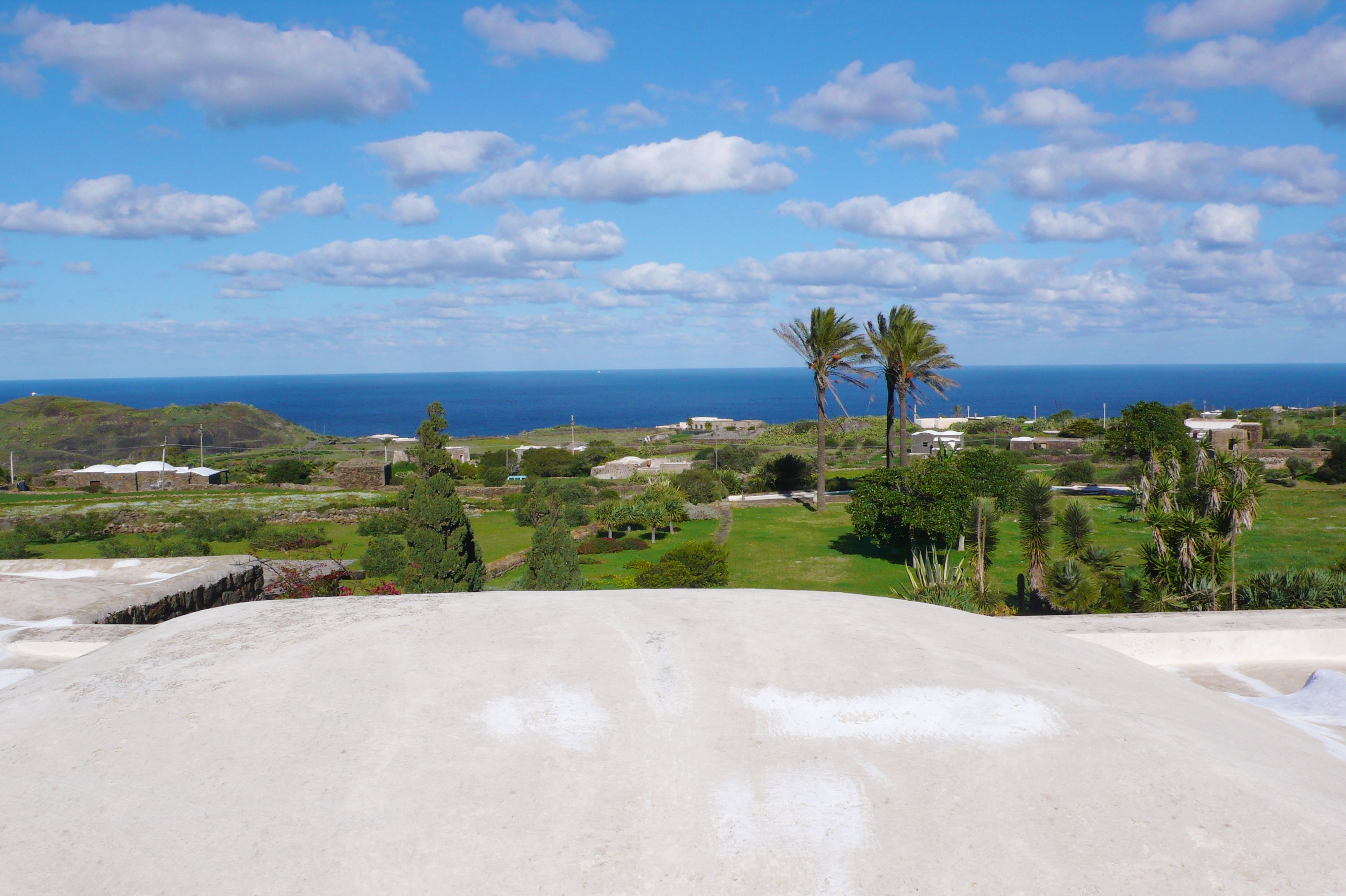 Un paysage côtier offrant une vue sur l’océan, avec des palmiers et quelques bâtiments dispersés.