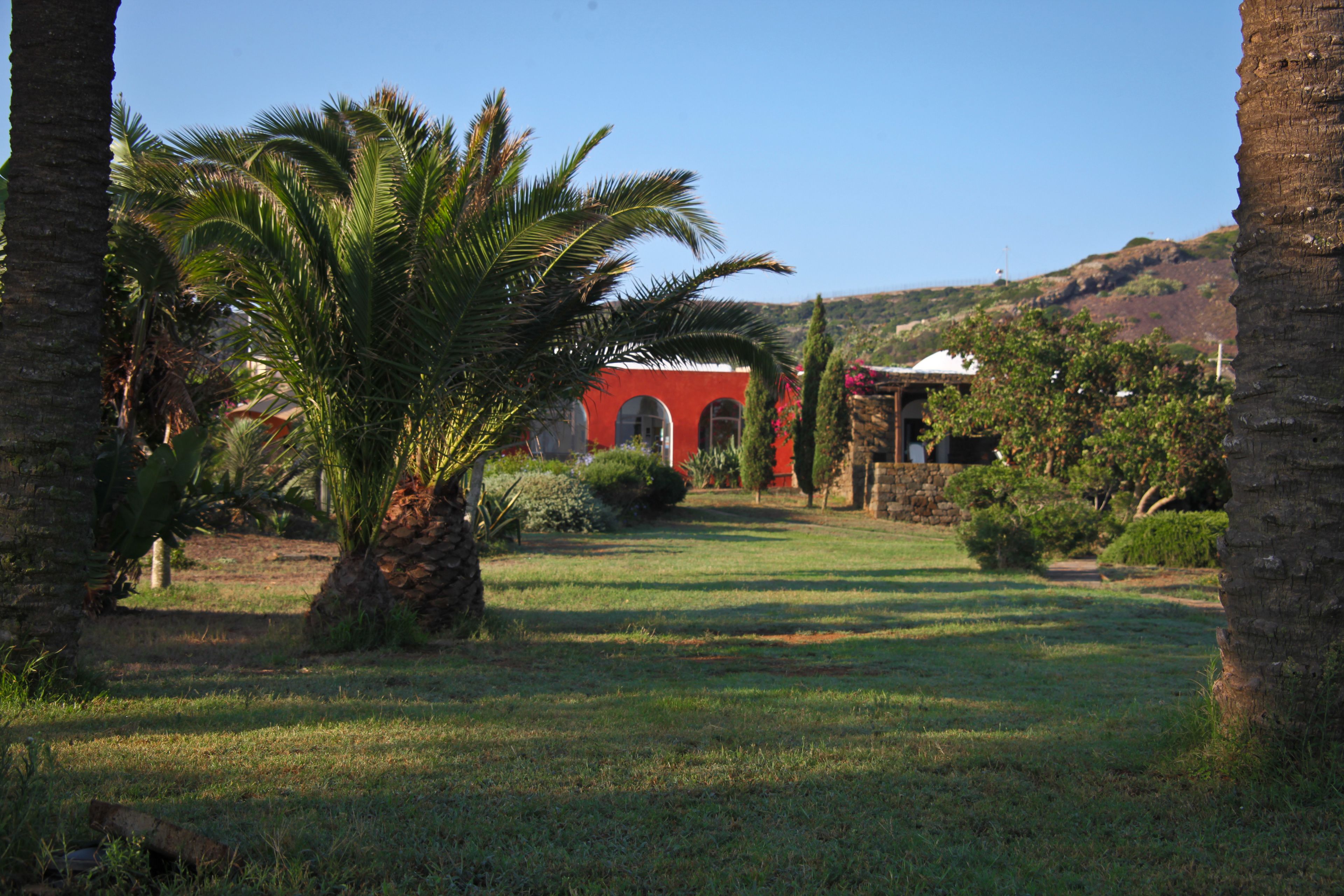A courtyard with palm trees, a red building with arches, and a stone wall.