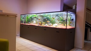 A large aquarium with various fish and aquatic plants, placed in a room with tiled flooring and a staircase in the background. - Hotel Evabrunnen (Bischofswerda)