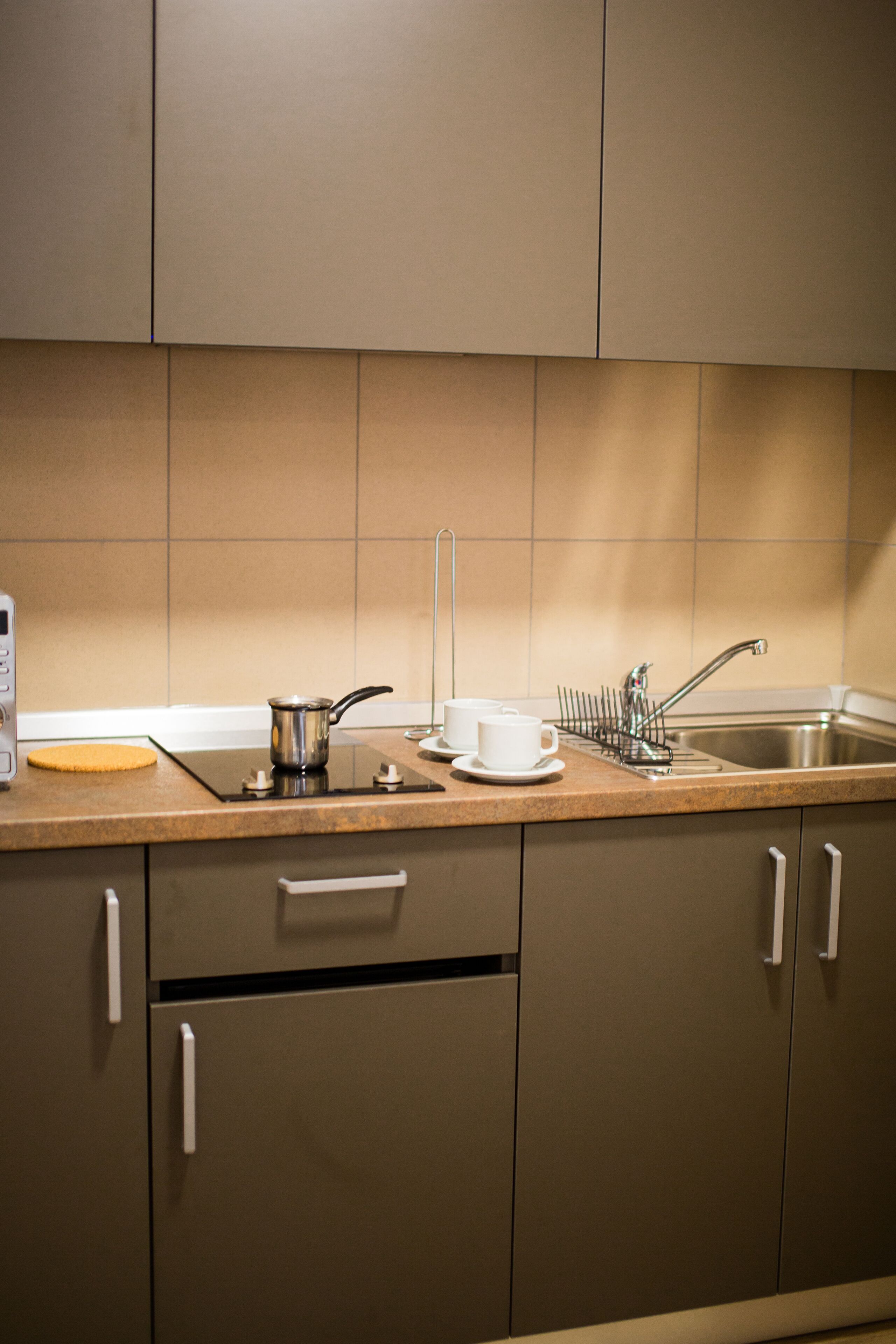 apartment, 1 king bed with sofa bed, non smoking, kitchen | private kitchen