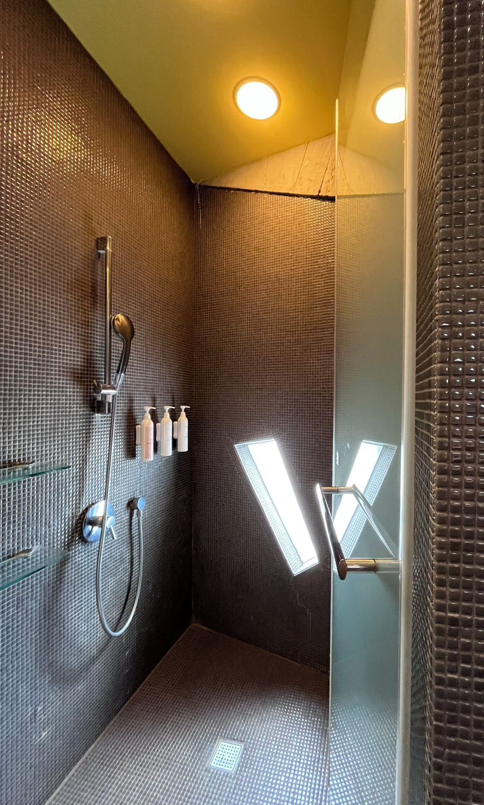 A modern shower with a glass door, a handheld showerhead, and a handheld shower attachment. There are three bottles of shampoo and conditioner on the wall.