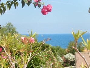 Double Room, Terrace, Beach View | View from room