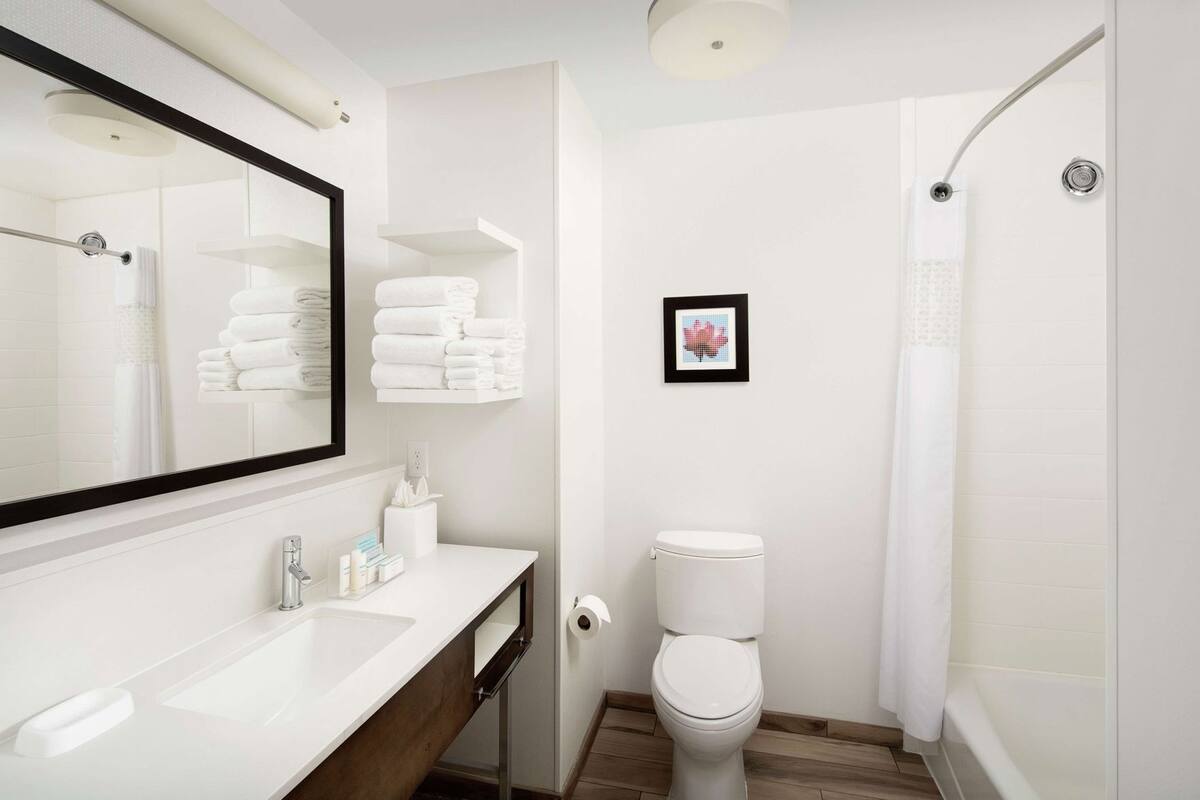 Bathroom | Combined shower/bathtub, hydromassage showerhead, free toiletries