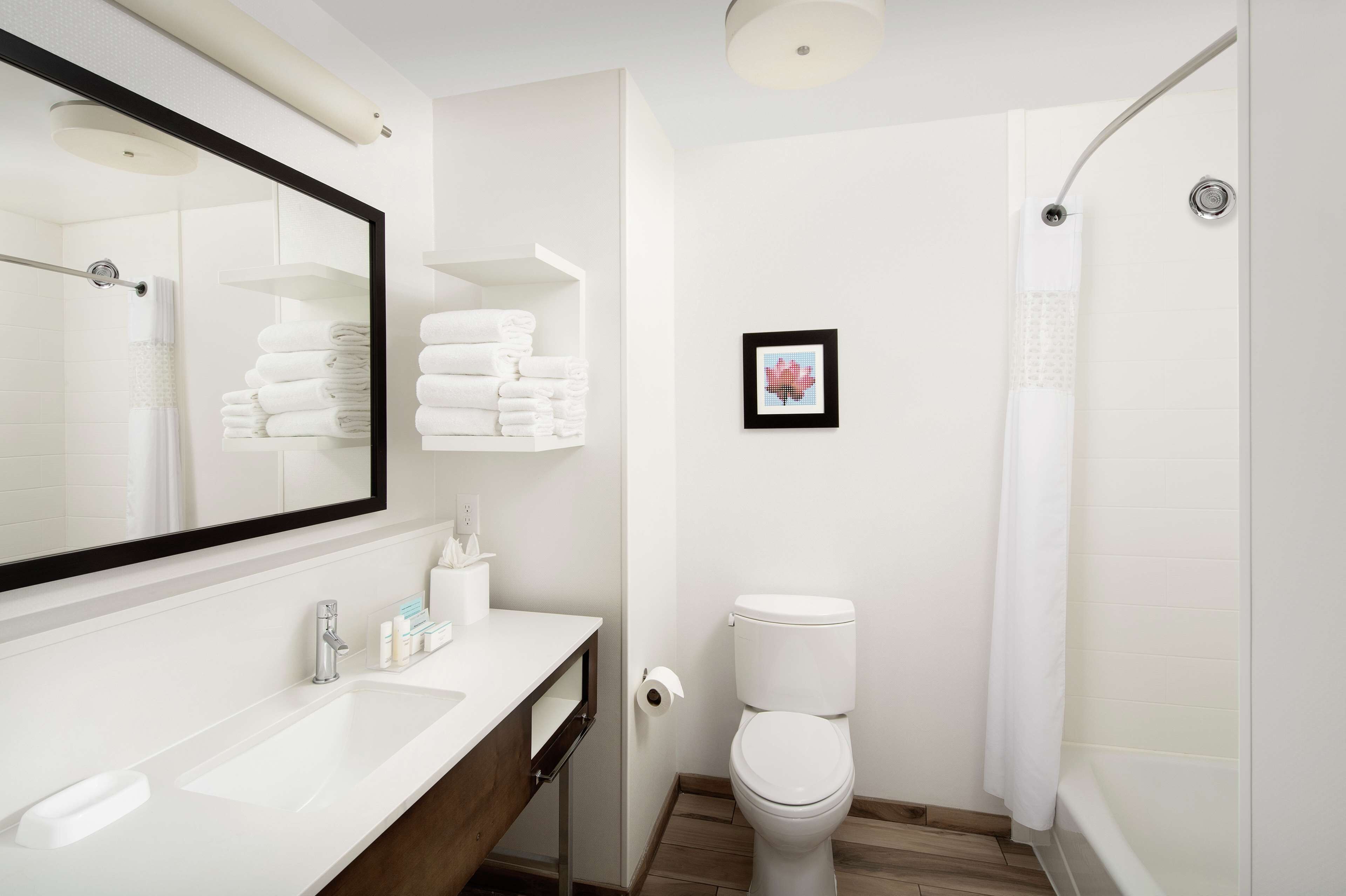 combined shower/bathtub, hydromassage showerhead, free toiletries