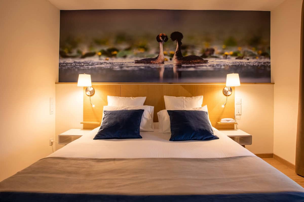 superior double room | 1 bedroom, premium bedding, pillow-top beds, desk