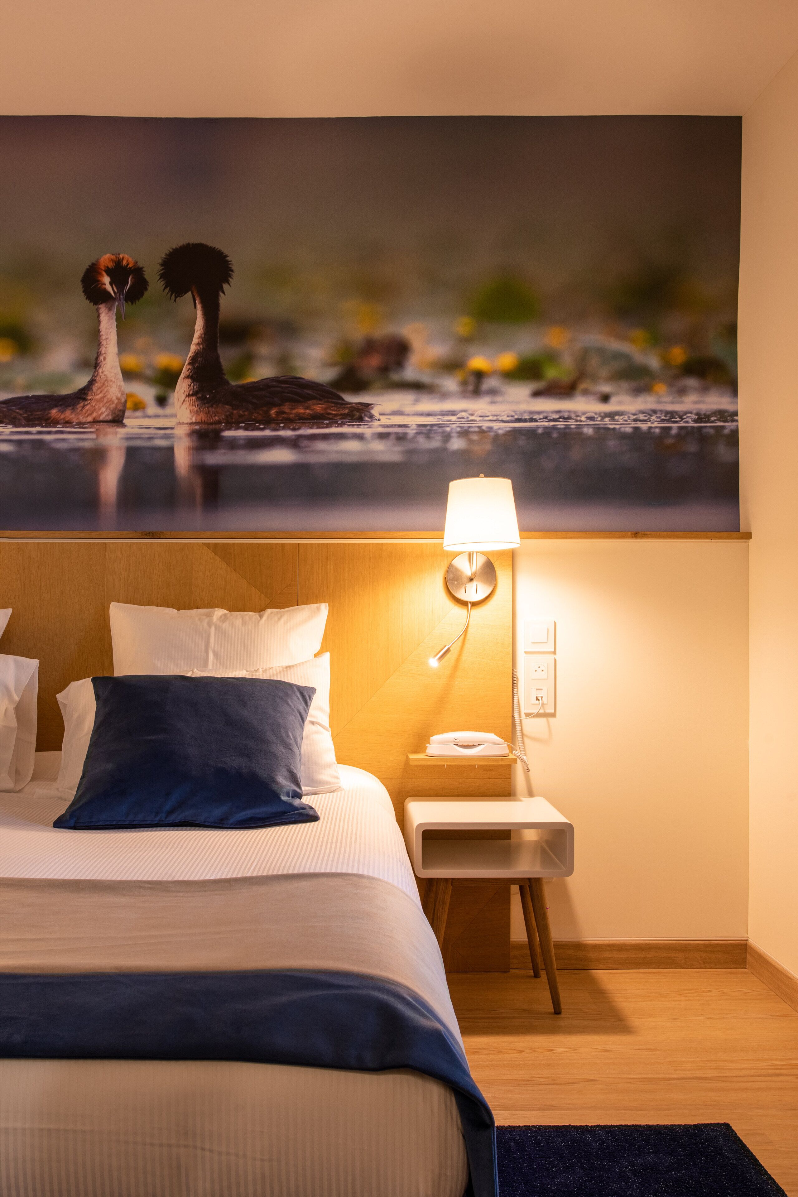 superior double room | 1 bedroom, premium bedding, pillow-top beds, desk