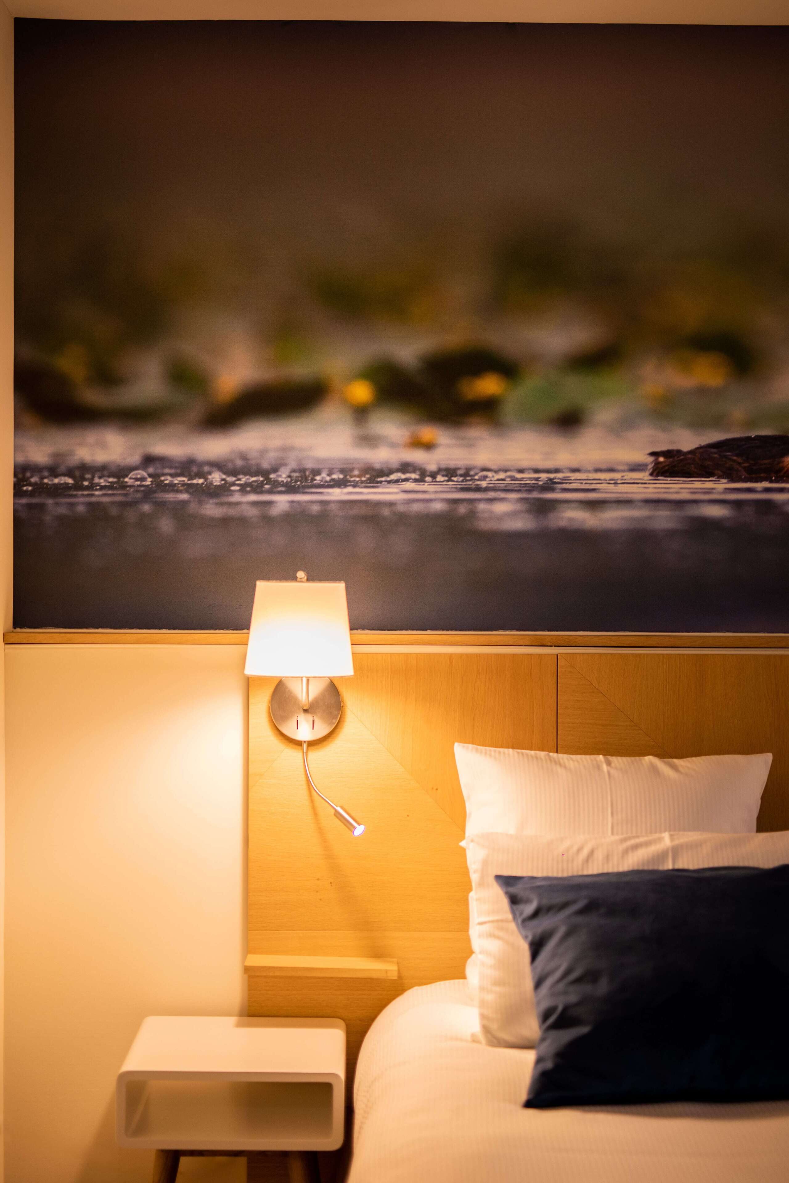 superior double room | 1 bedroom, premium bedding, pillow-top beds, desk