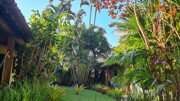 A lush garden with various tropical plants and palm trees, a wooden structure, and a clear blue sky. - Pousada Varanda do Sol (Porto Seguro)