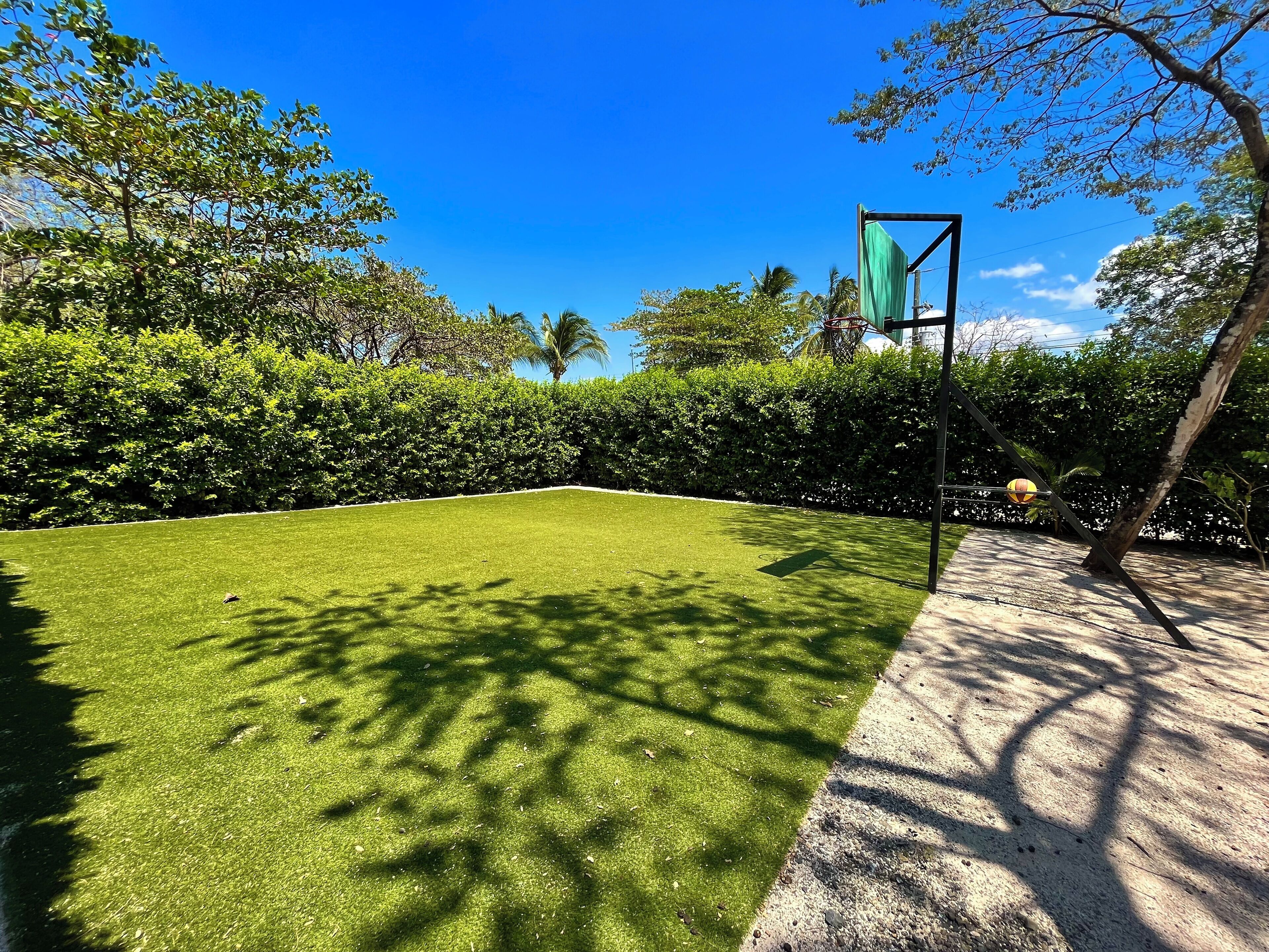 A well-maintained lawn with a basketball hoop and a tree casting shadows.