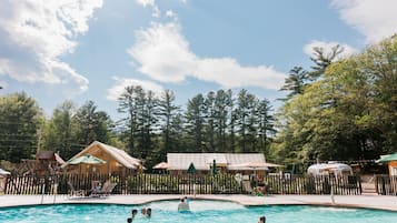 Outdoor pool, pool loungers