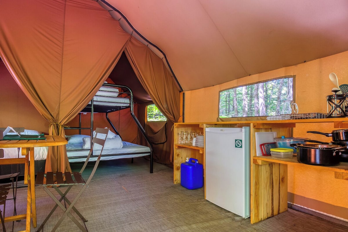 A compact, well-equipped tent with bunk beds, a small kitchenette, and a window overlooking a forest.
