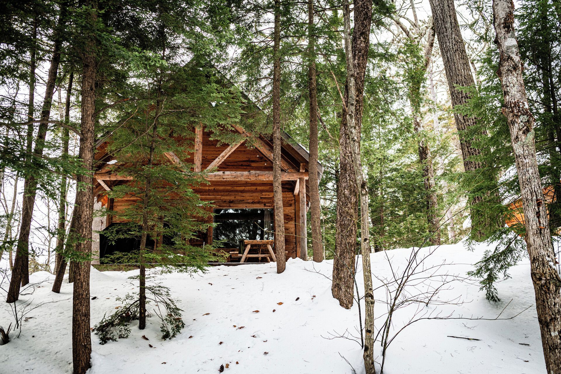 A wooden cabin surrounded by tall trees and covered in snow.