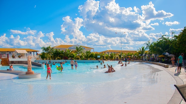 A large outdoor swimming pool with multiple lanes, surrounded by palm trees and a clear blue sky.
