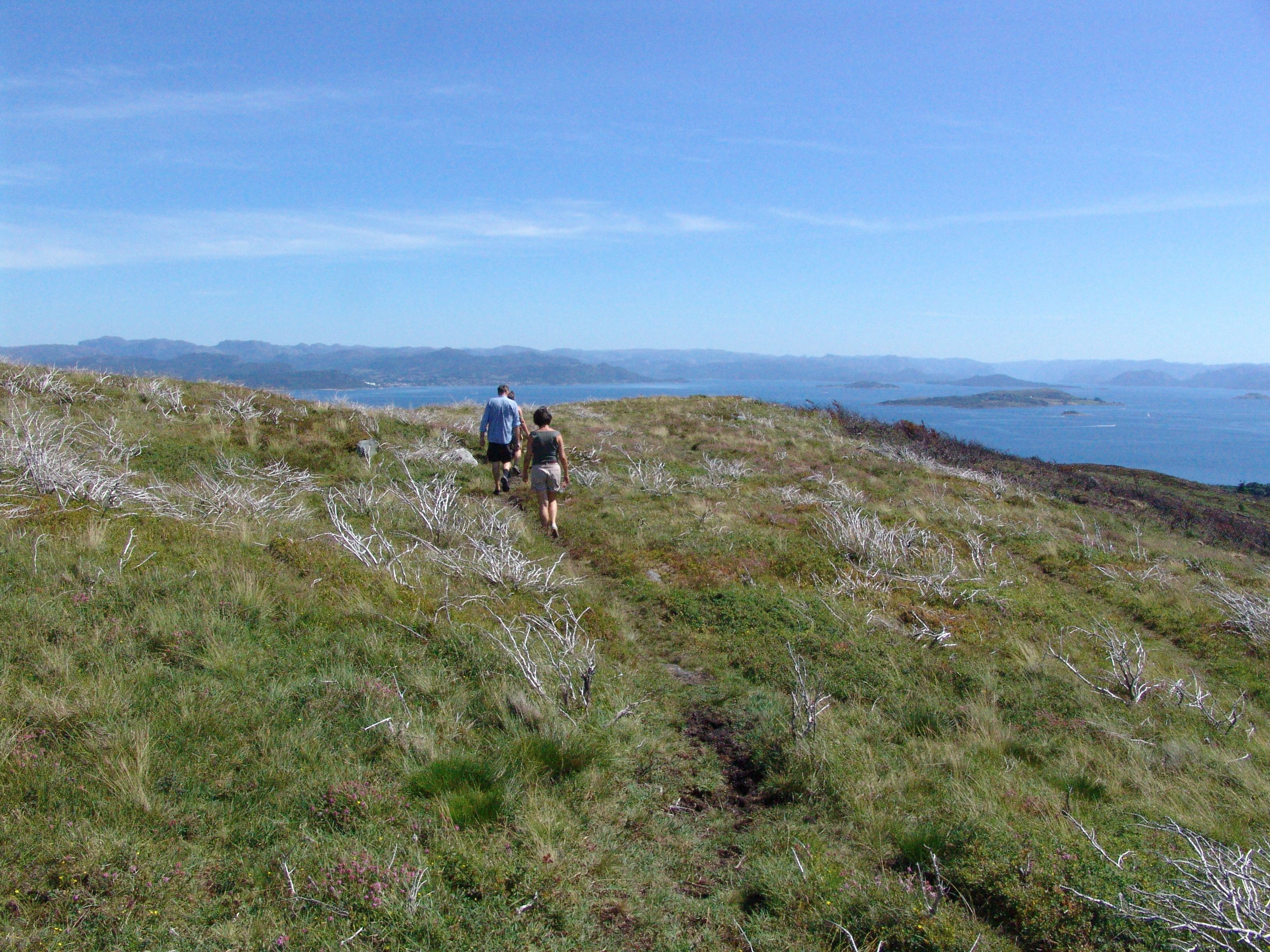 A grassy hillside with a clear view of the ocean and distant mountains.