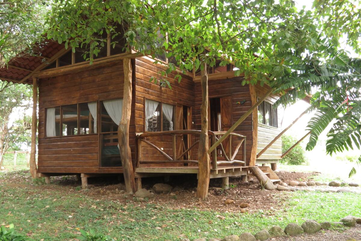 A wooden cabin with a porch, surrounded by trees and a garden.