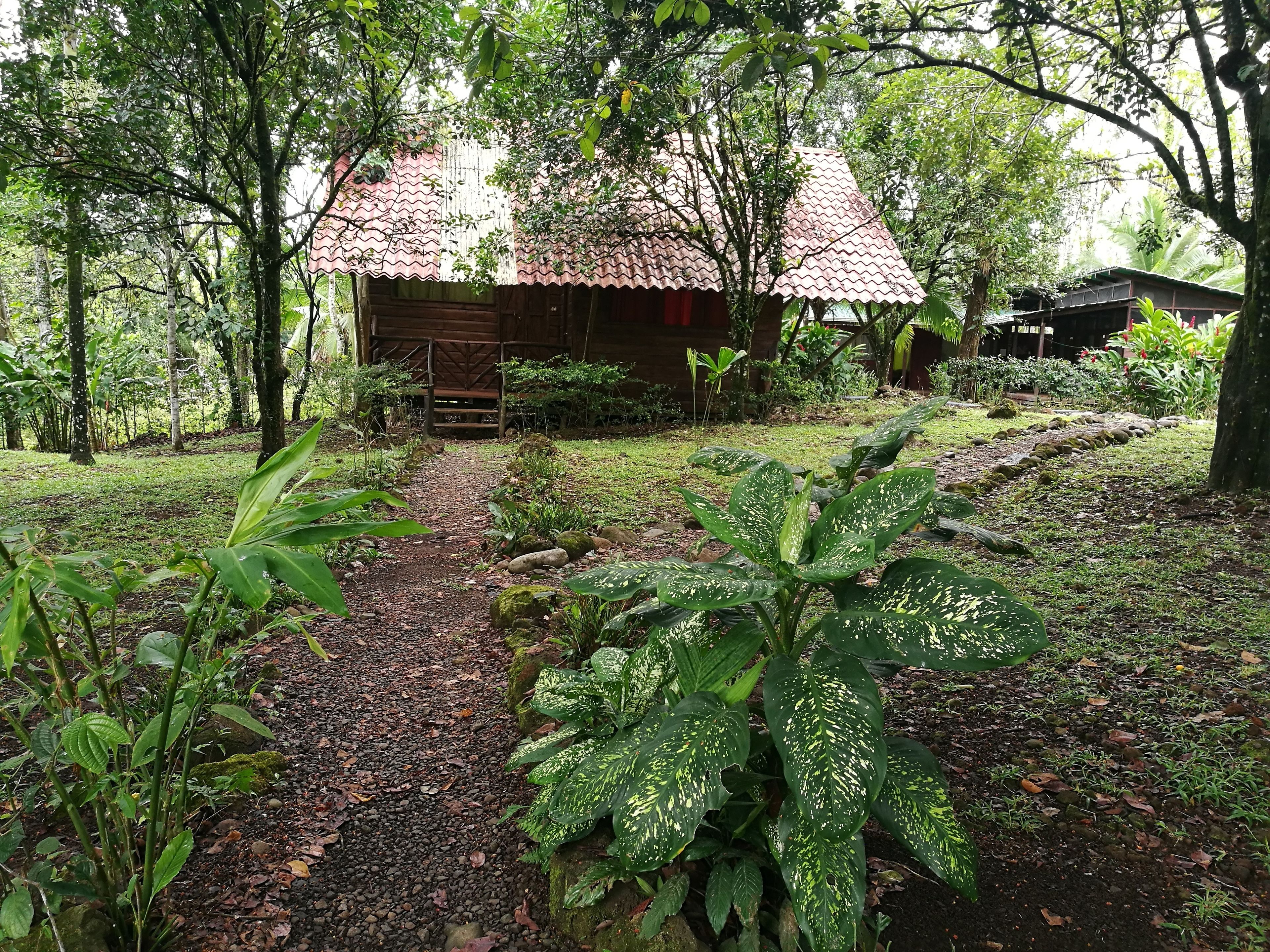 Kabin Basic, 2 kamar tidur, kamar mandi pribadi, pemandangan halaman | 1 kamar tidur dan seprai linen