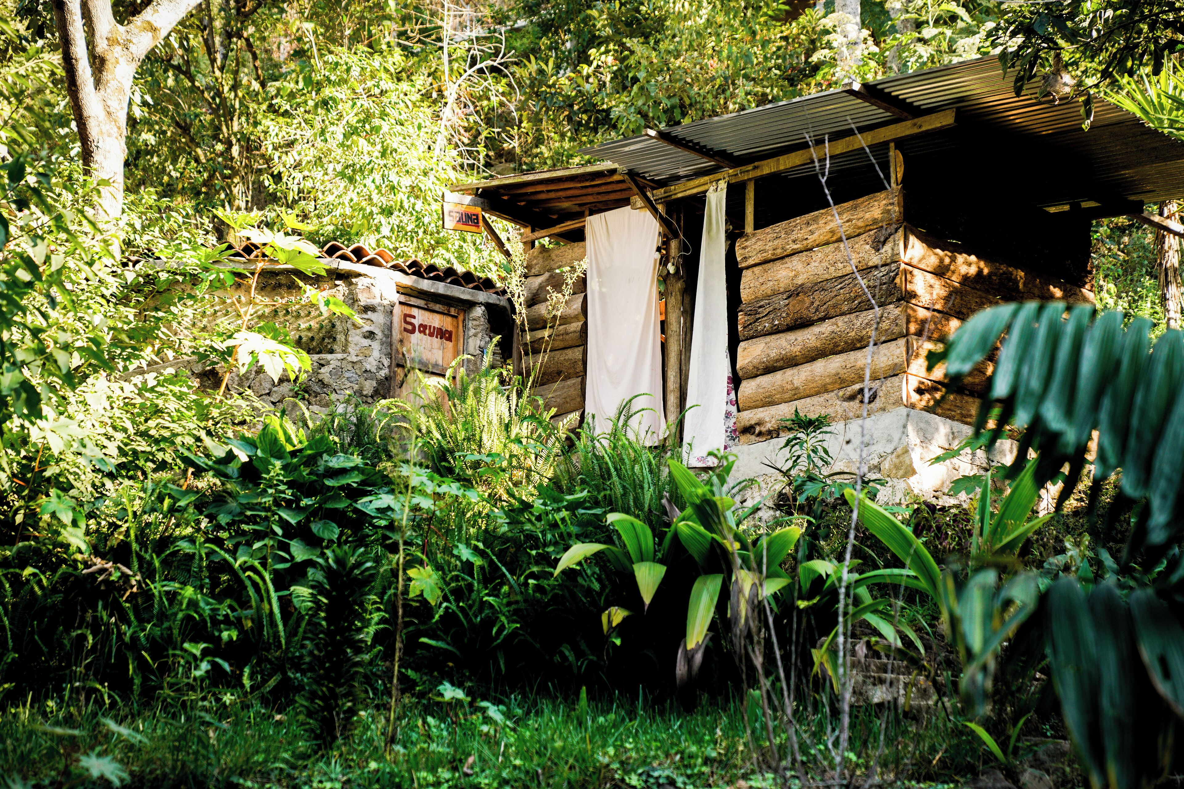 A rustic log cabin surrounded by dense greenery.