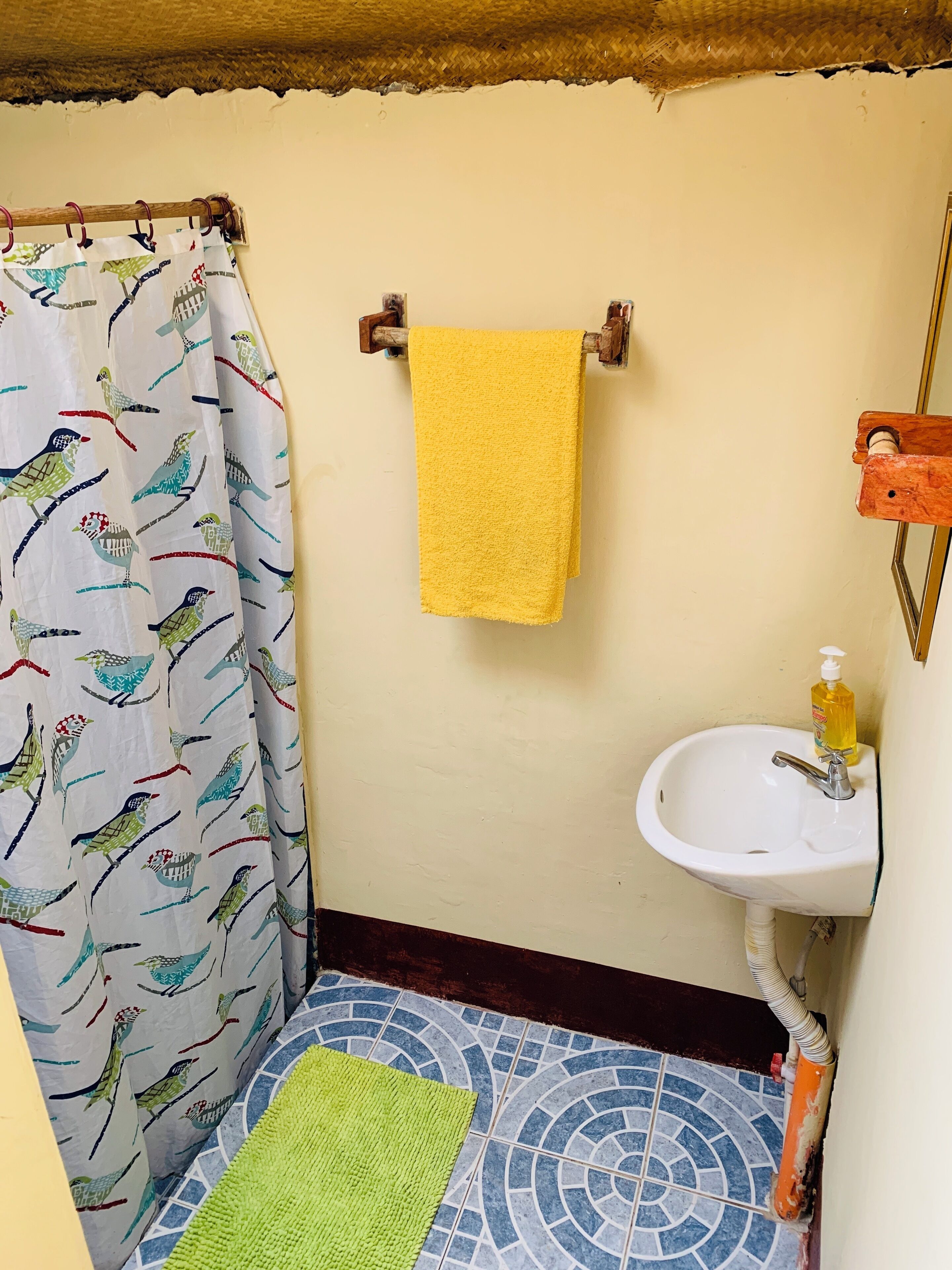 Une salle de bain avec un rideau de douche, une serviette jaune, un lavabo avec un distributeur de savon et un tapis vert.