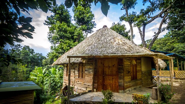 Ein rustikales Holzhaus mit einem strohgedeckten Dach, umgeben von üppigem Grün und Bäumen.