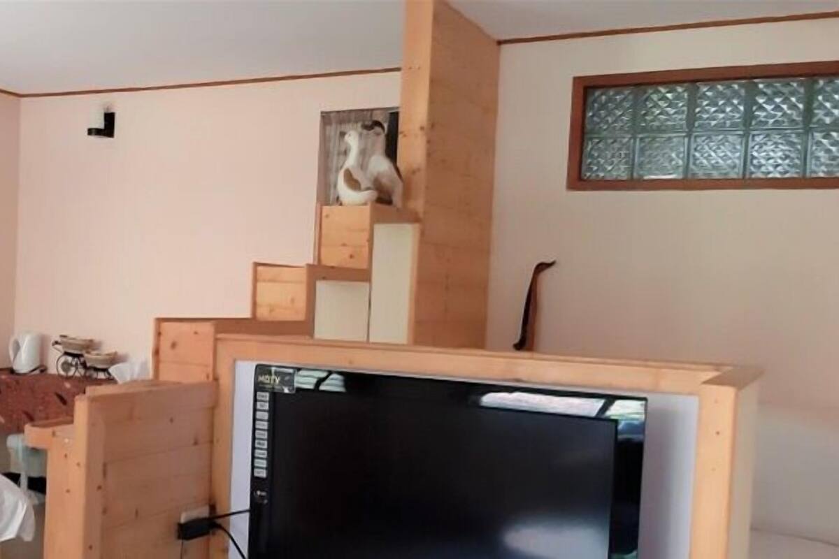 Familien-Dreibettzimmer
