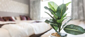 Guesthouse Ichigo-Ichie Kitakasan