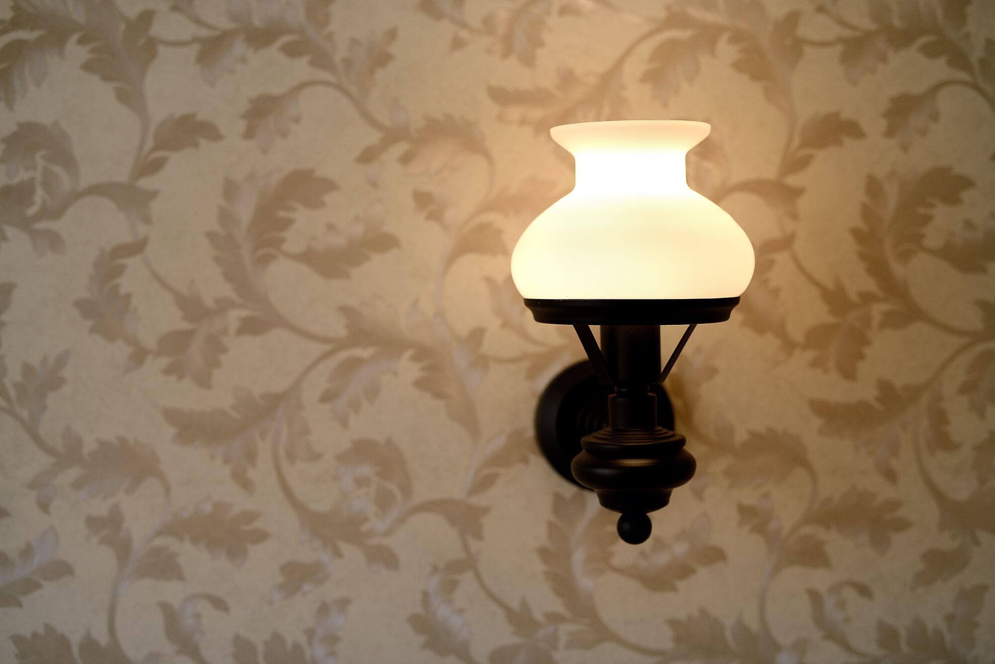 A wall-mounted light fixture with a frosted glass shade against a floral wallpaper background.
