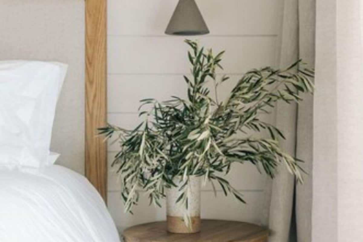 Ein ordentlich bezogenes Bett mit weißer Decke und Kissen, ein kleiner Nachttisch mit Blumentopf sowie eine hängende Pendelleuchte.