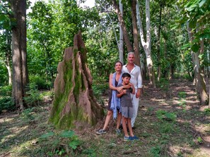 Una familia parada en un bosque cerca de un tronco de árbol grande cubierto de musgo.